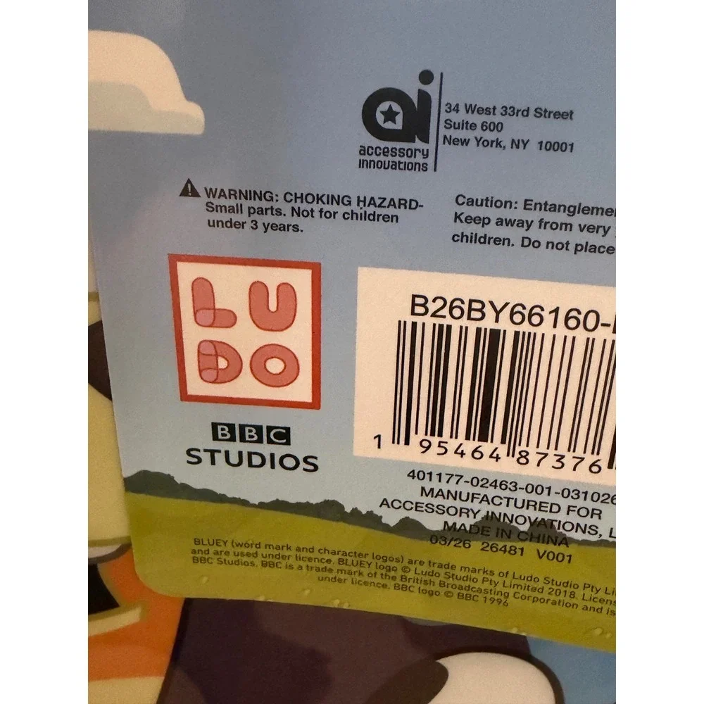 Bluey bingo kids